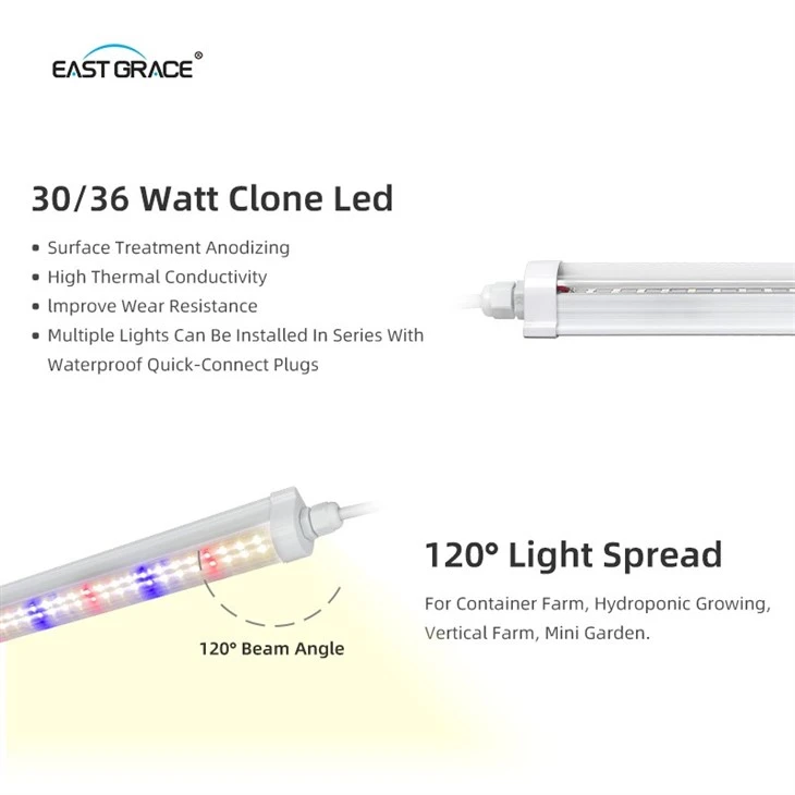 CRI>80 T8 Waterproof Clone Light best