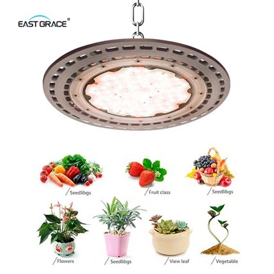 Dragon Fruit UFO -LED High Bay wachsen Licht