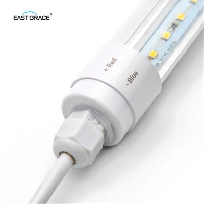 DC12~36V T8 wasserdichte LED-Röhrenleuchte