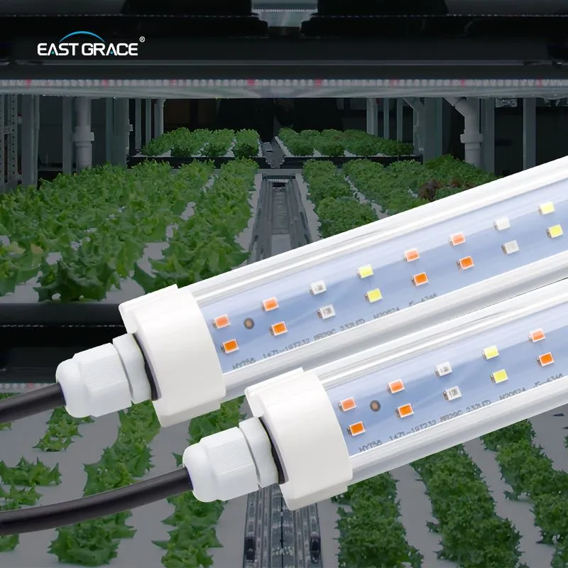 T8 2FT Full Spectrum Grow Light For Plants